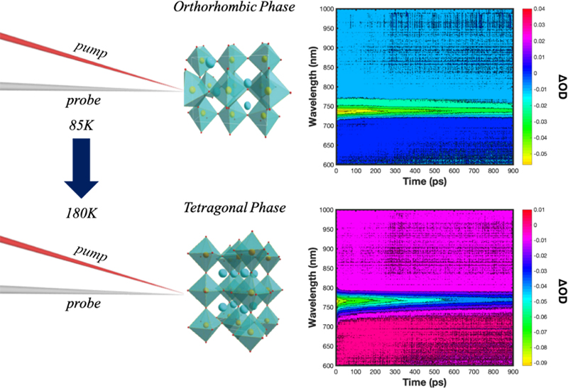 Ultrafast laser spectroscopy probes the charge carrier transfer